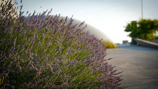 Voyage Juridique : Démarches Essentielles pour Vendre votre Maison
