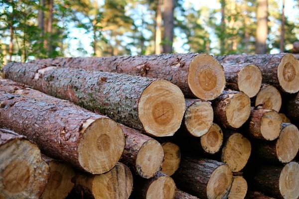 Protéger durablement le bois extérieur grâce à des finitions écologiques